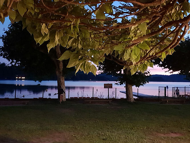 Restaurent Le Beau Rivage - Aiguebelette-le-Lac